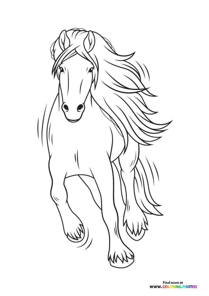Horse running