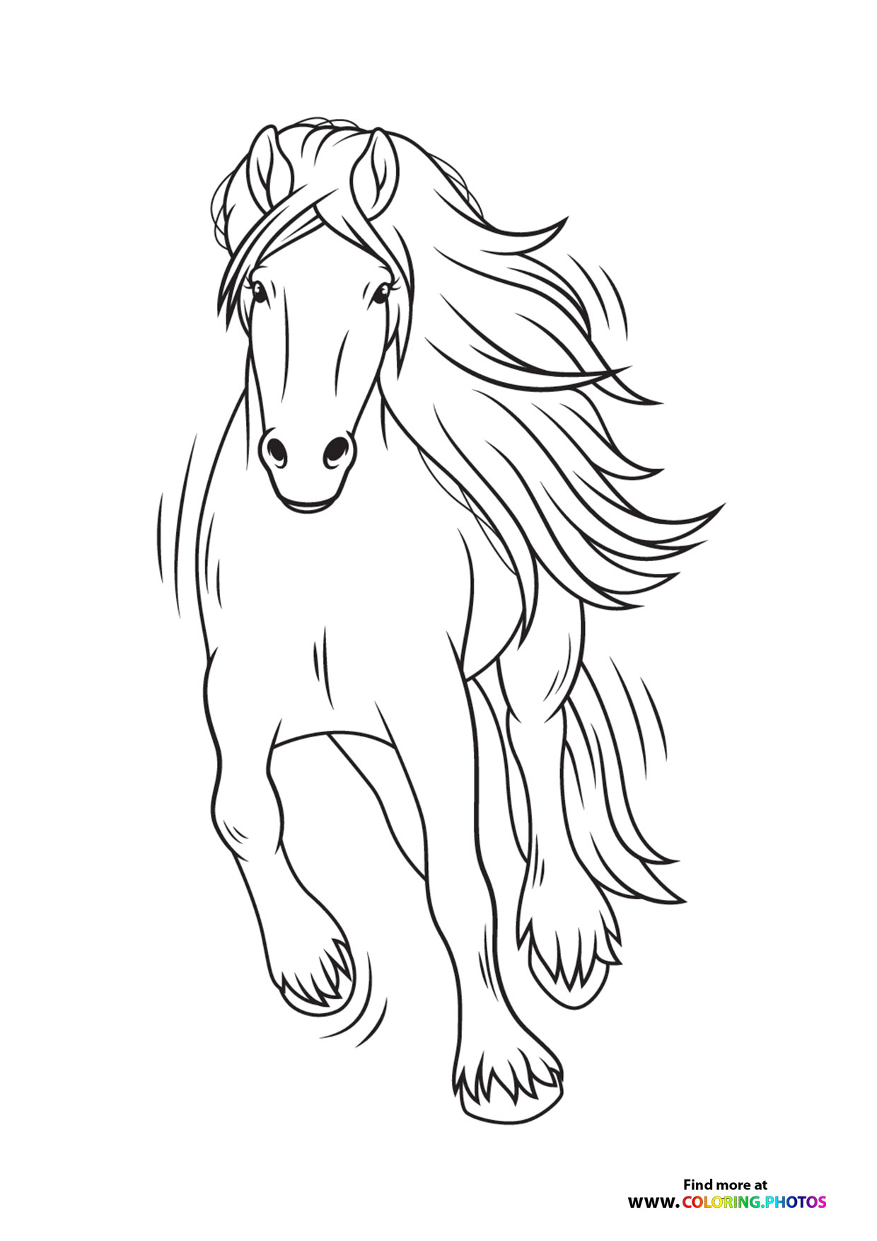 Horse running