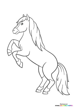 Horse standing