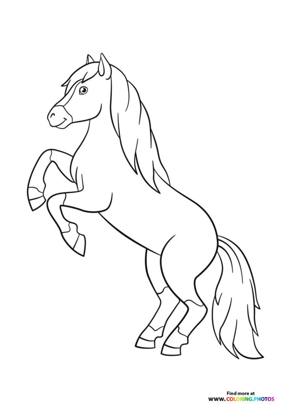 Horse standing