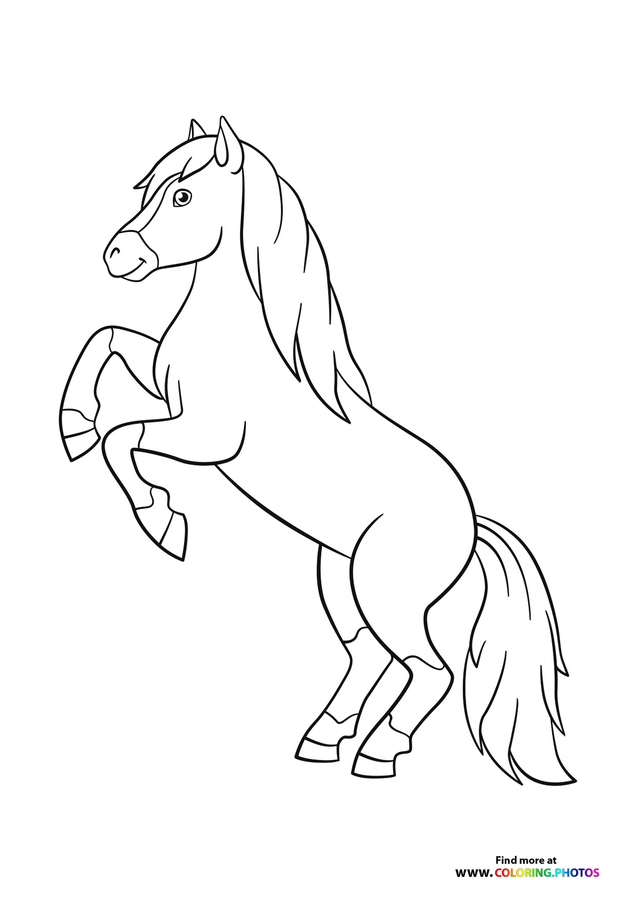 Horse standing