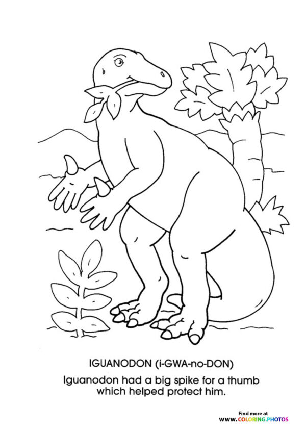 Iguanodon