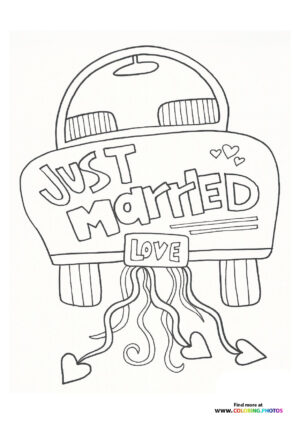 Just Married Car with Ribbon