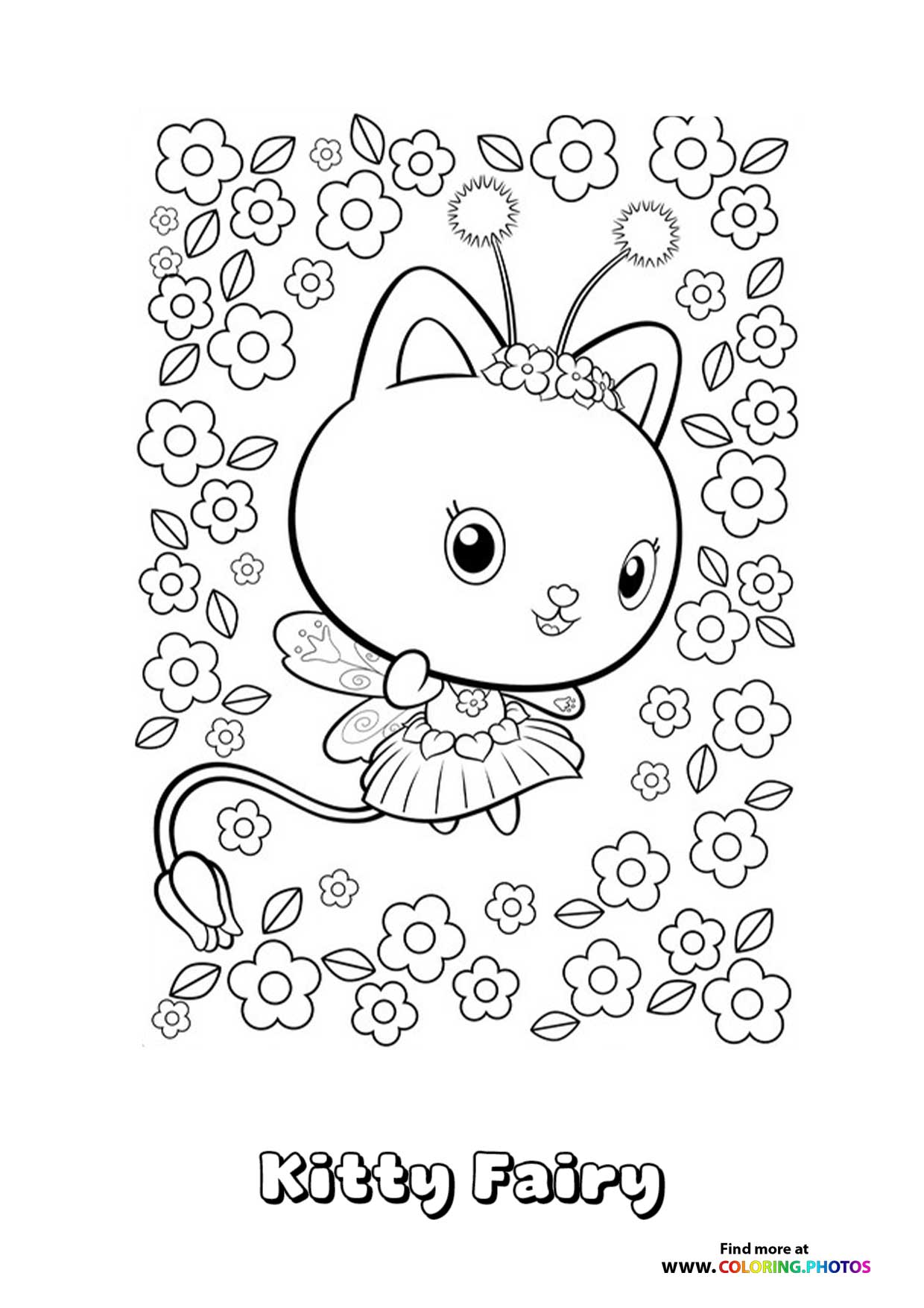Kitty Fairy
