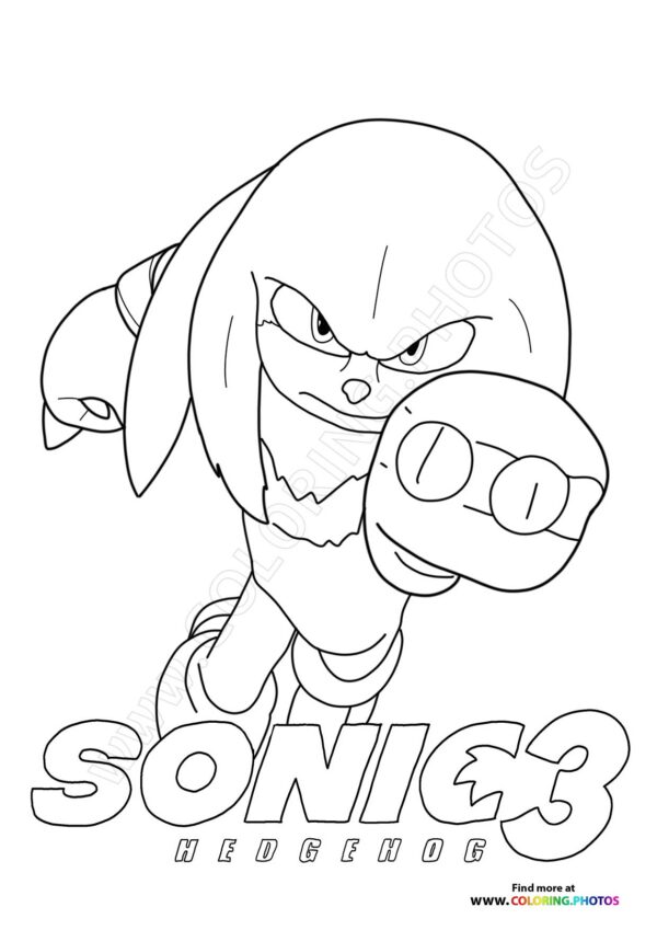 Knuckles Throwing a Punch
