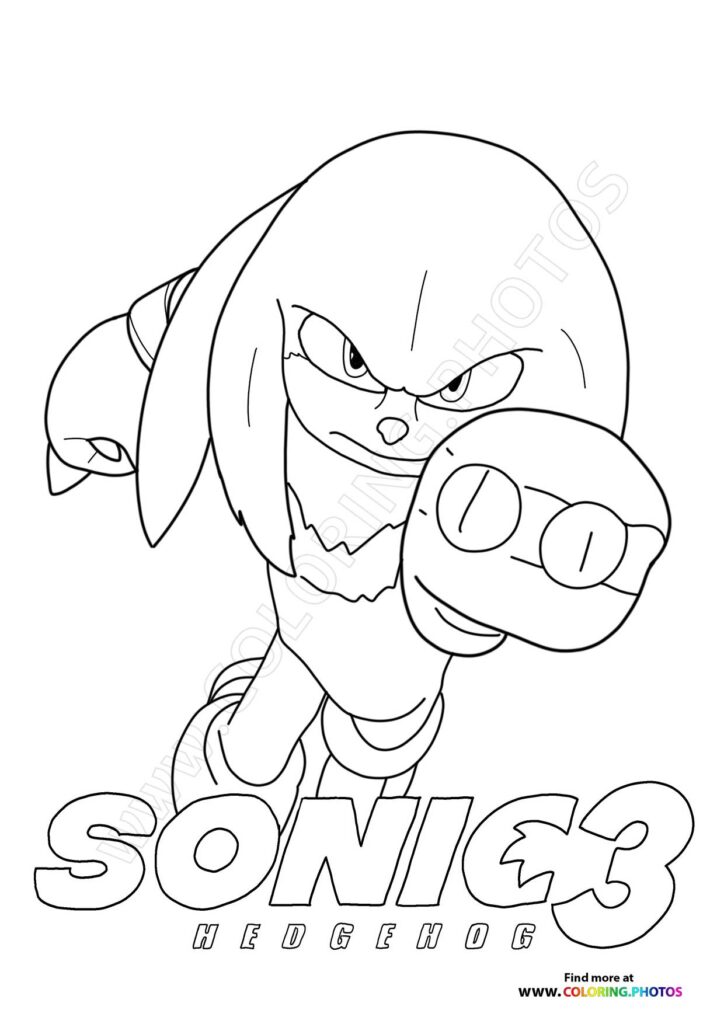 Knuckles Throwing a Punch