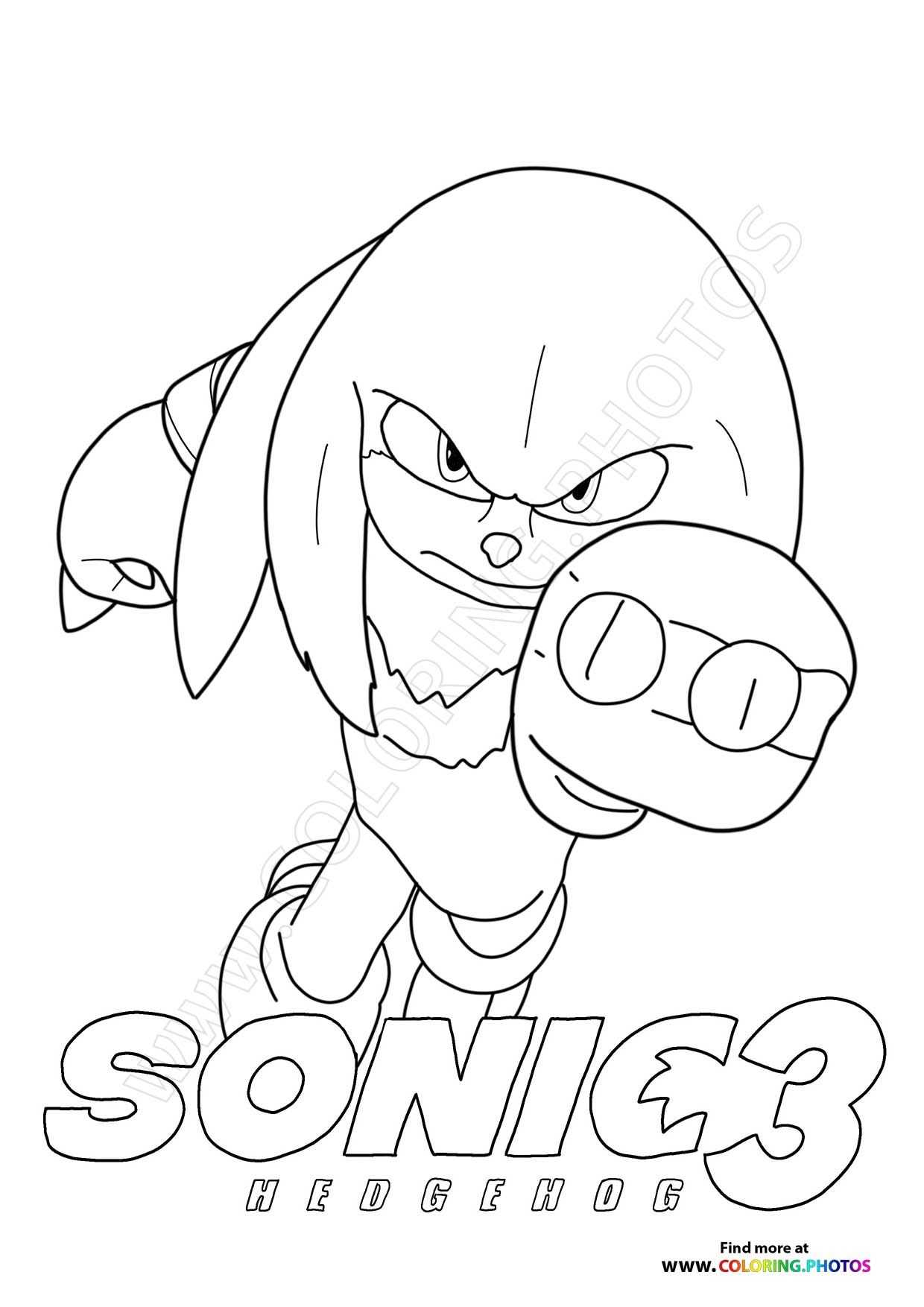 Knuckles Throwing a Punch