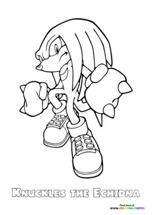 Knuckles the Echidna