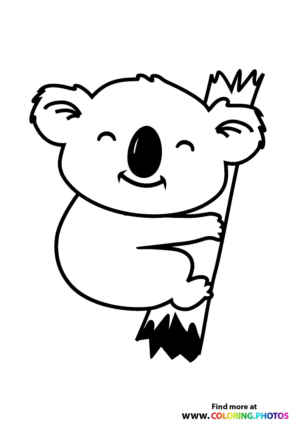 Cute coala on a tree coloring page