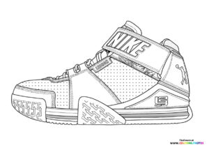 Lebron shoes