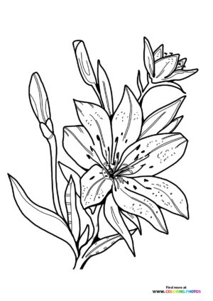 Easter Lily Branch