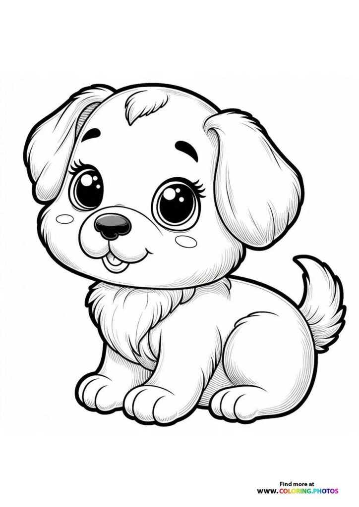 Little puppy