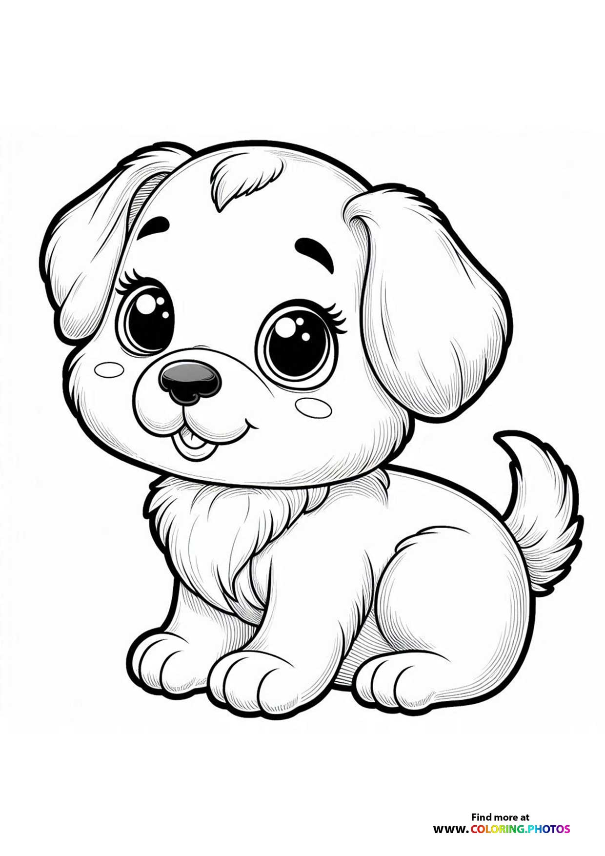 Little puppy