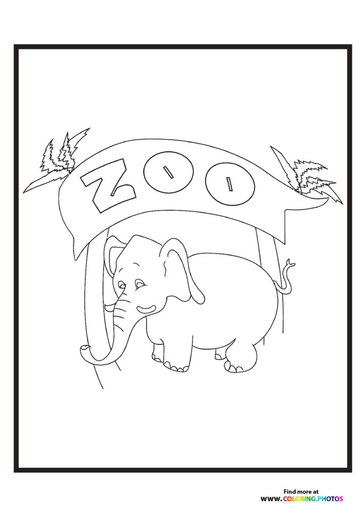 Little zoo elephant
