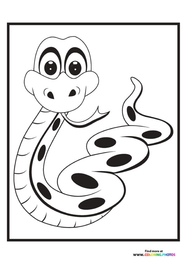 Little zoo snake