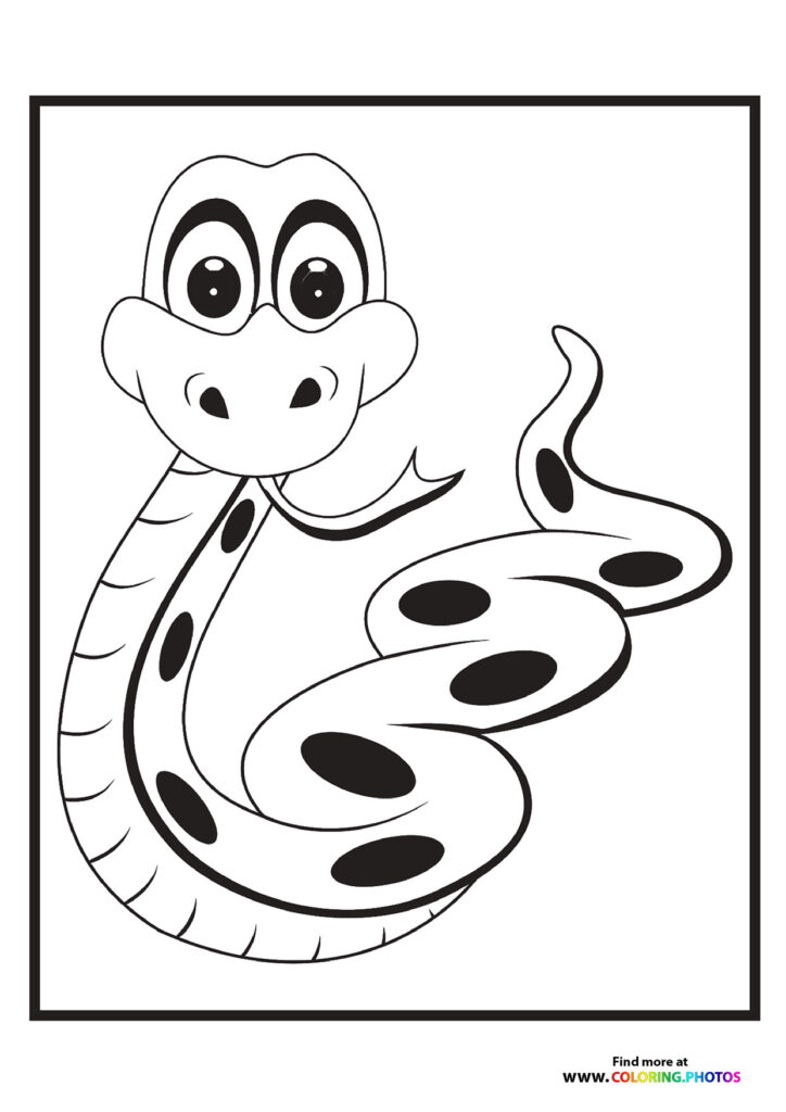 Little zoo snake