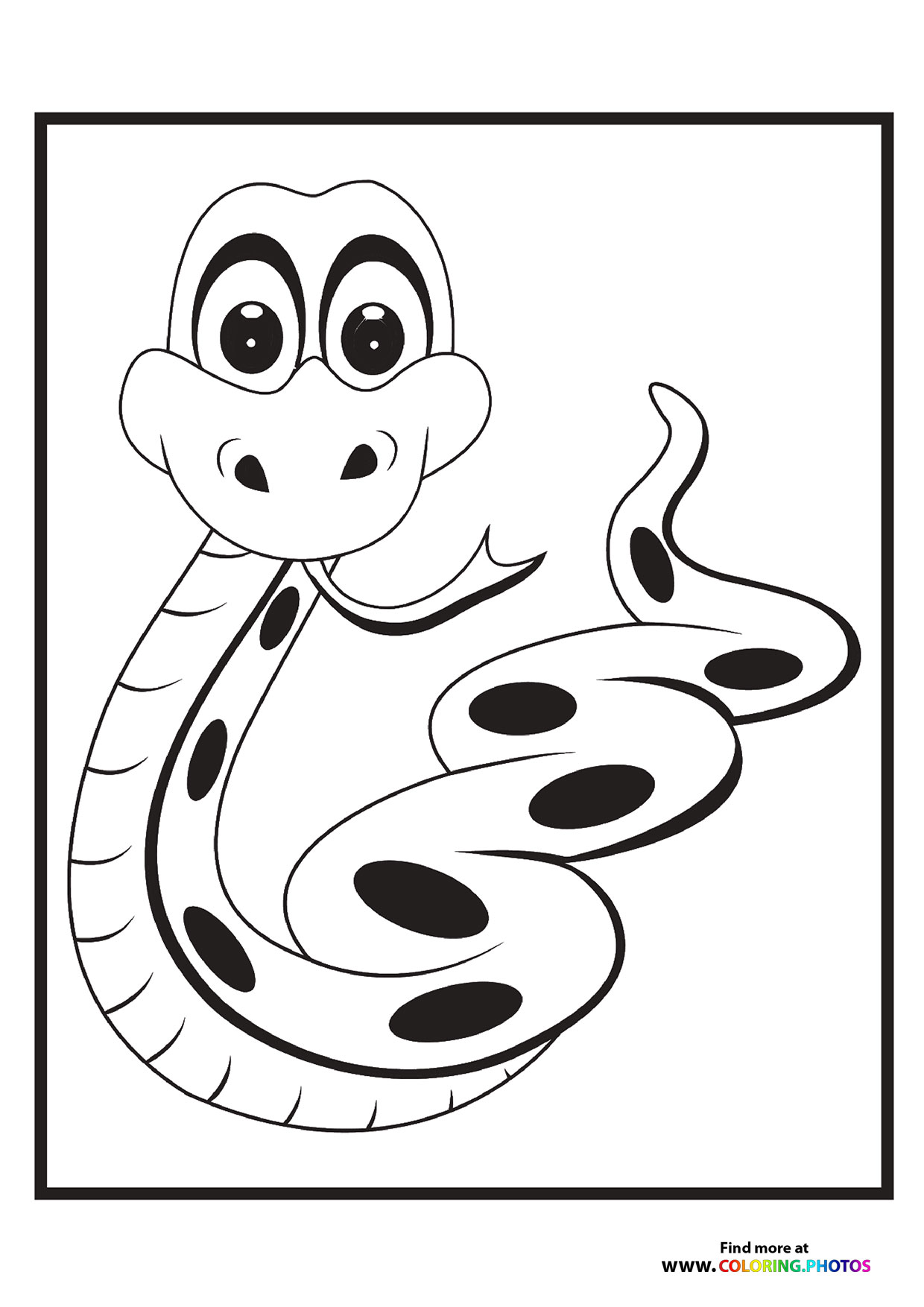 Little zoo snake