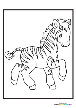 Little zoo zebra