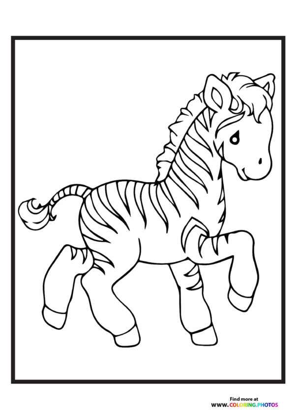 Little zoo zebra