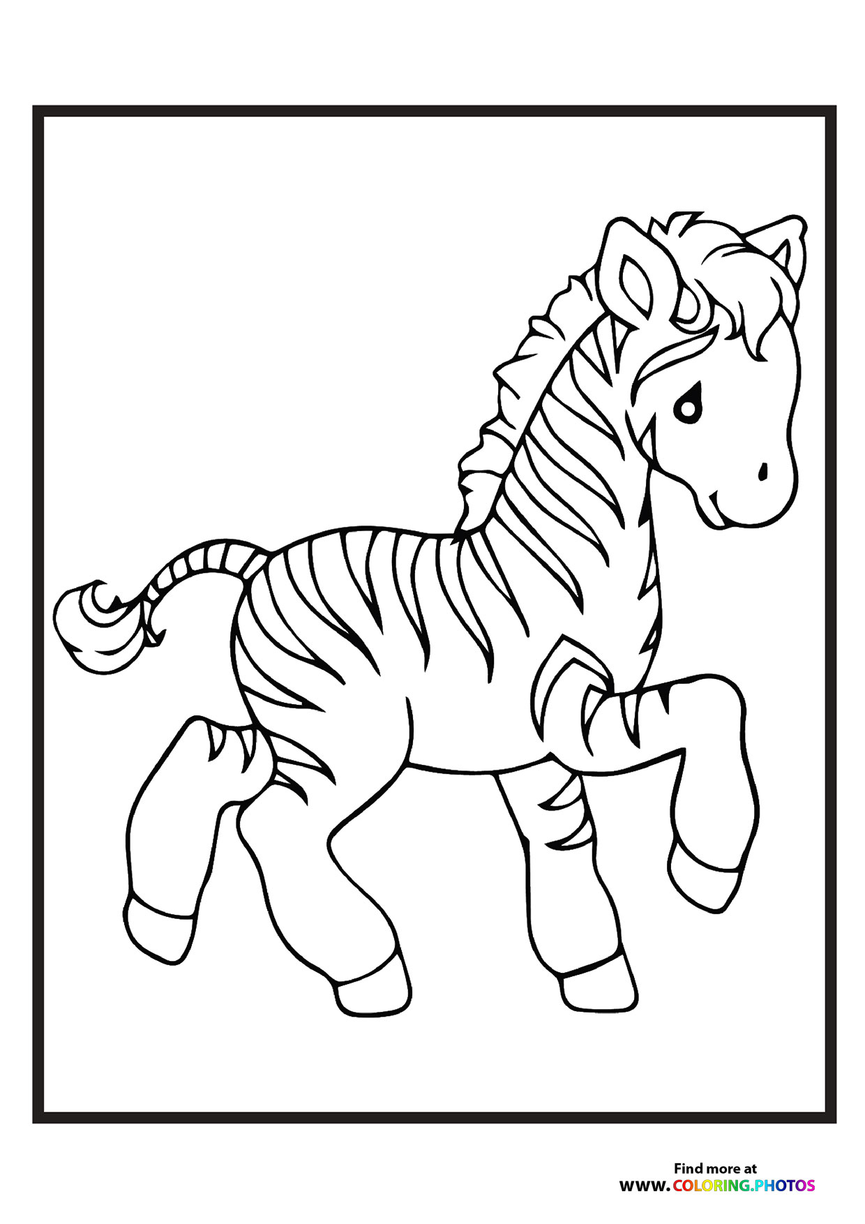 Little zoo zebra