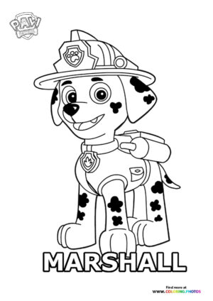 Marshall the Firefighter Pup