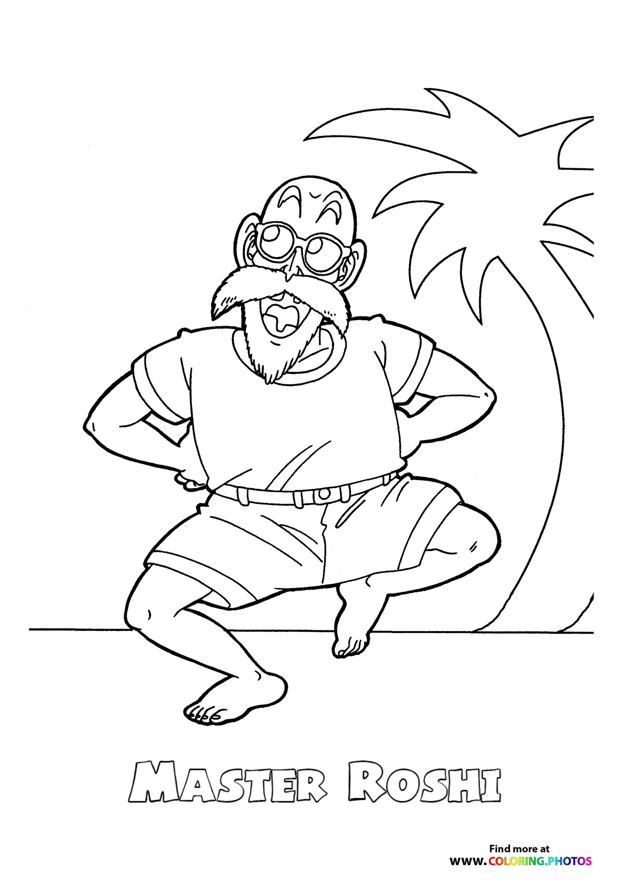Master Roshi Dragon Ball Z
