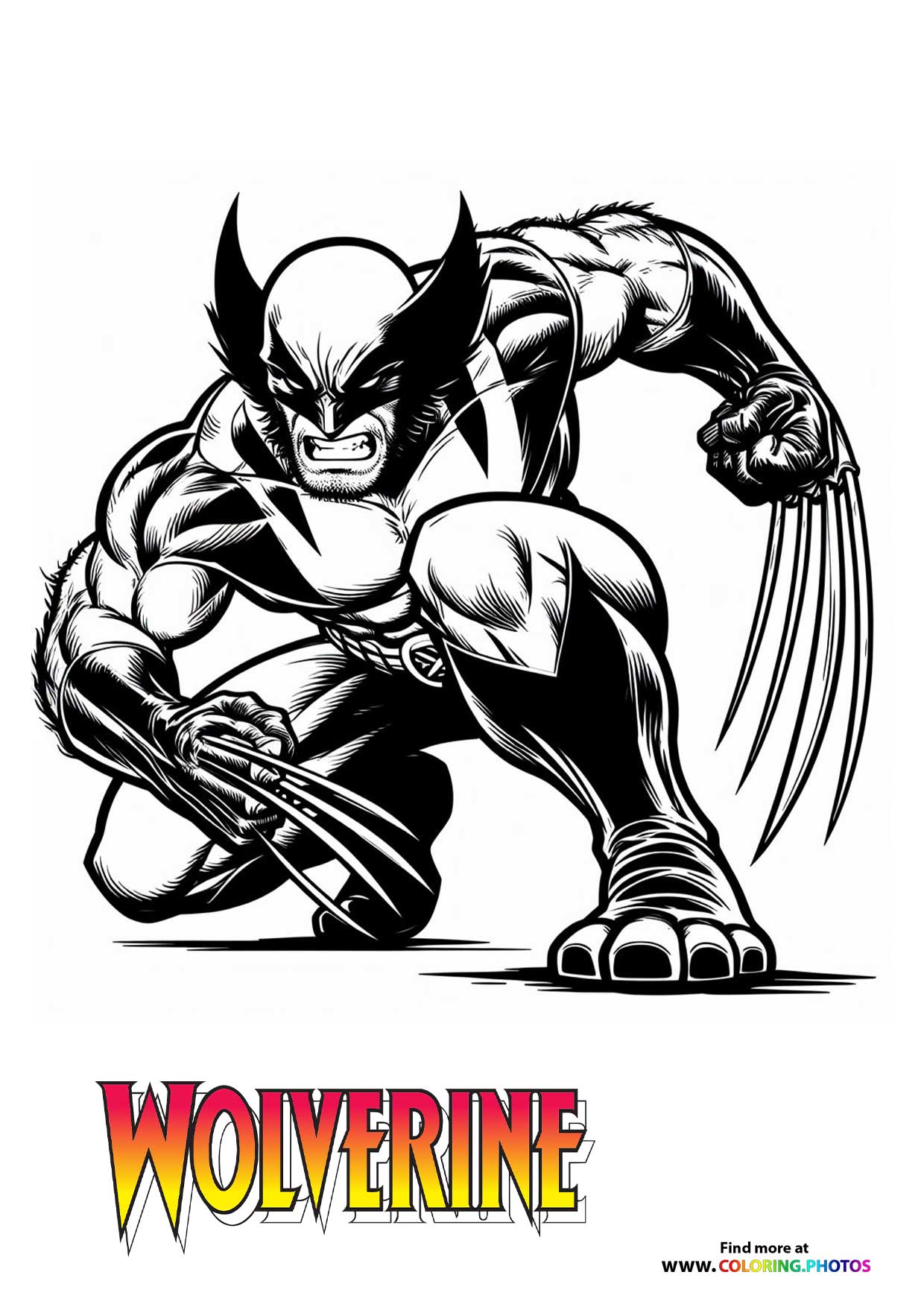 Wolverine Crouching with Claws Extended