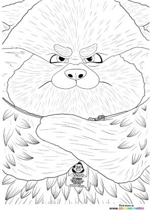 Angry Red Panda Face