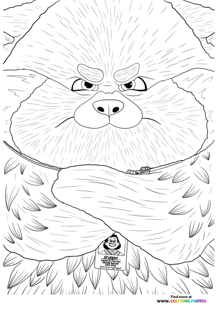 Angry Red Panda Face