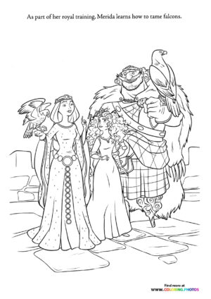 Merida's Falcon Training