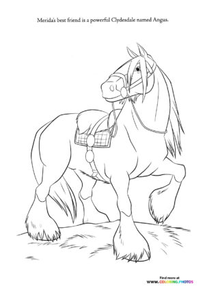 Angus the Clydesdale