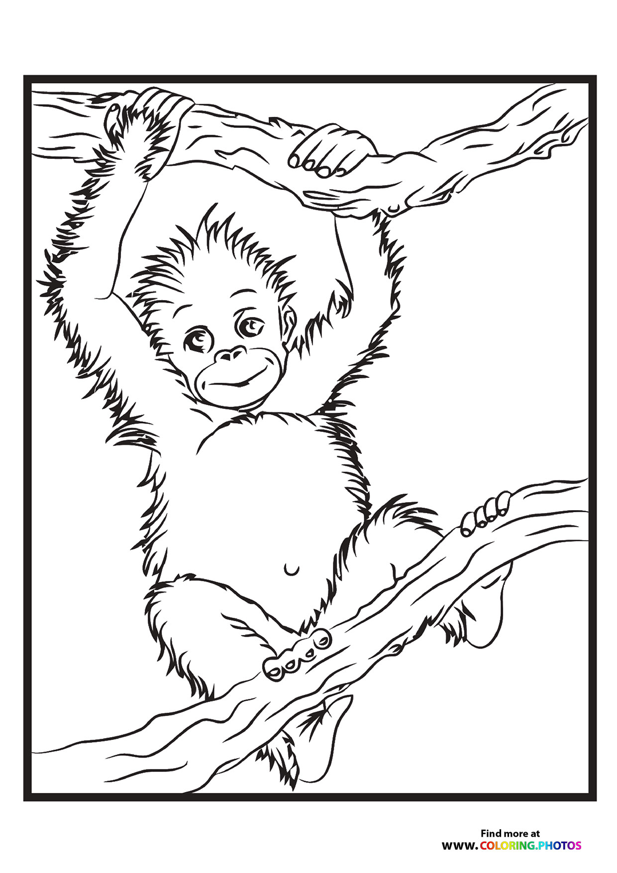 Monkey climbing