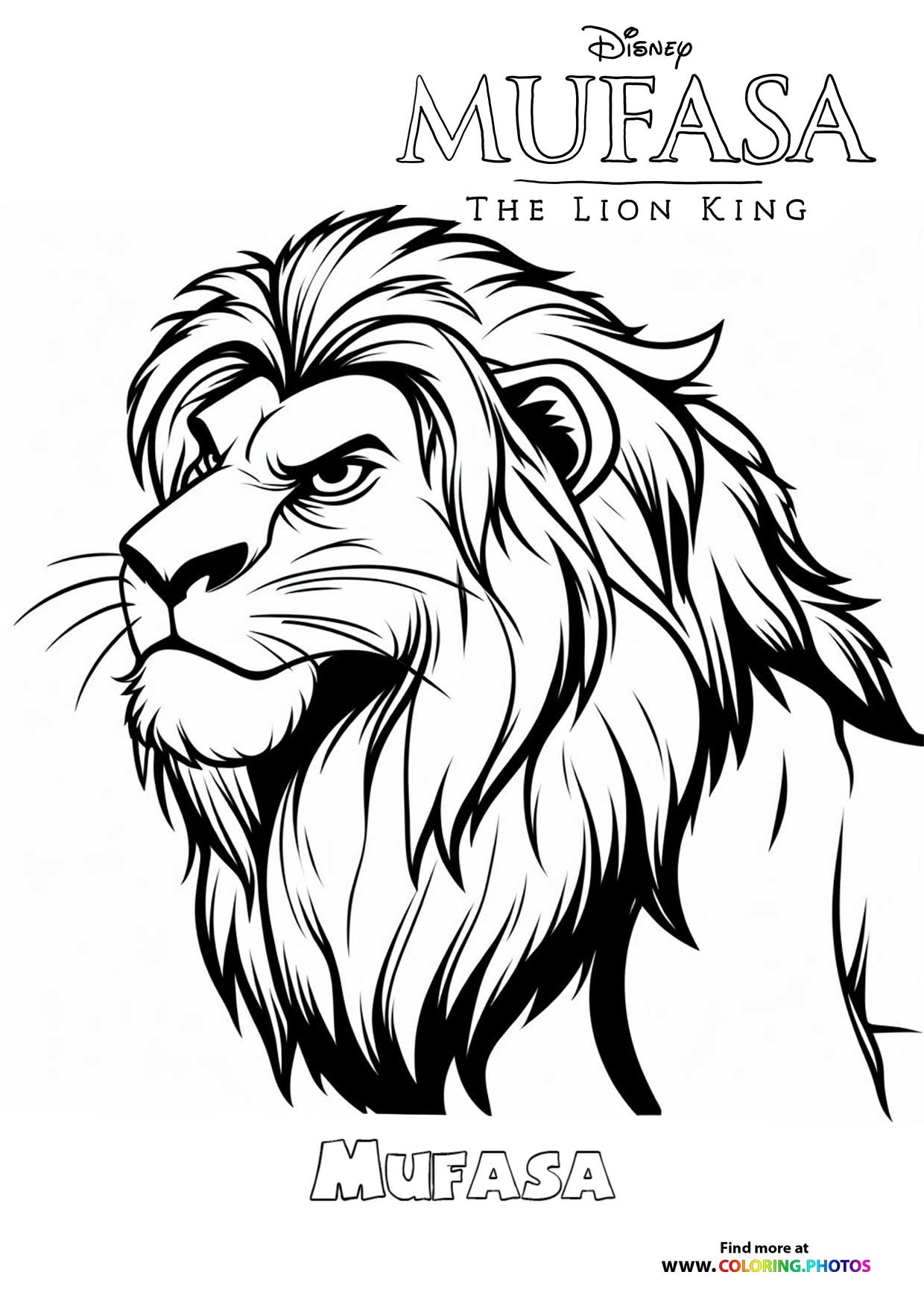 Mufasa the Lion King