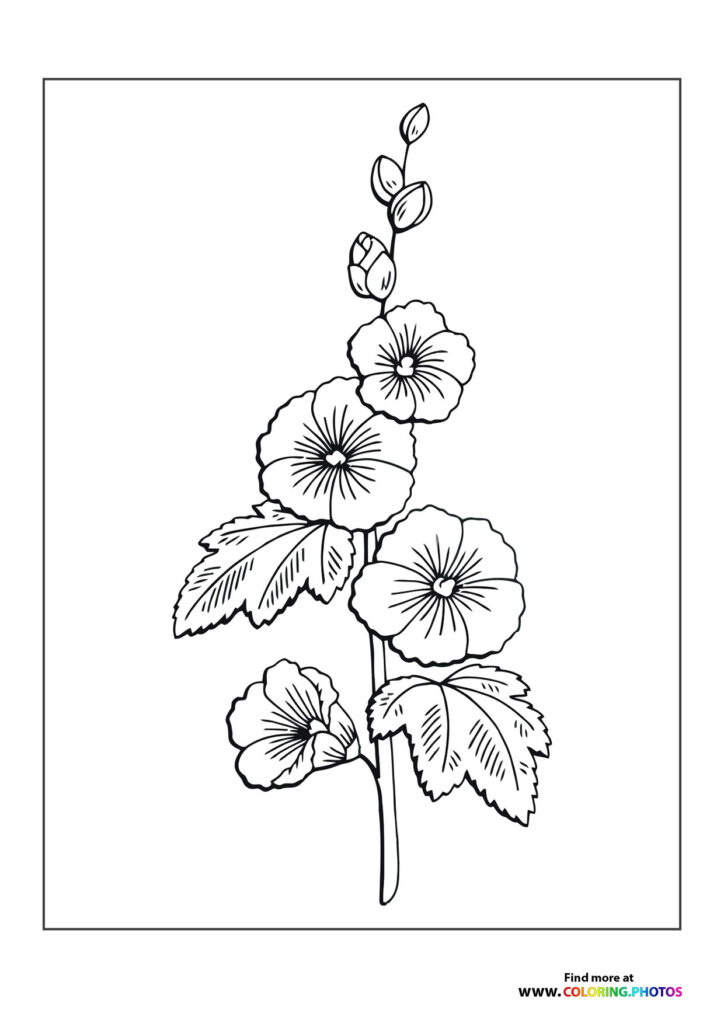 Nice flower