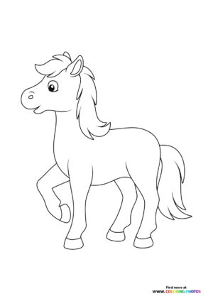 Nice horse