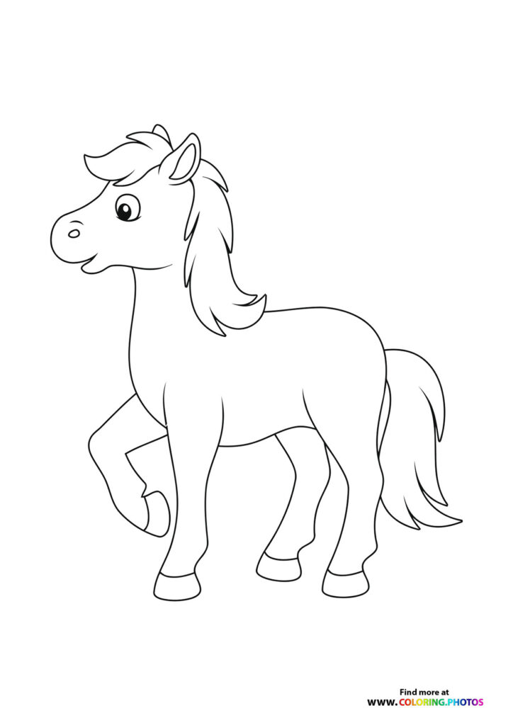 Nice horse