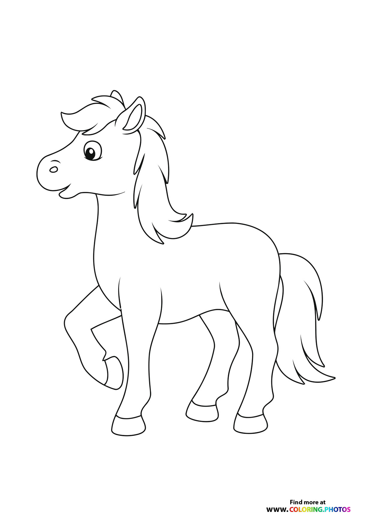 Nice horse