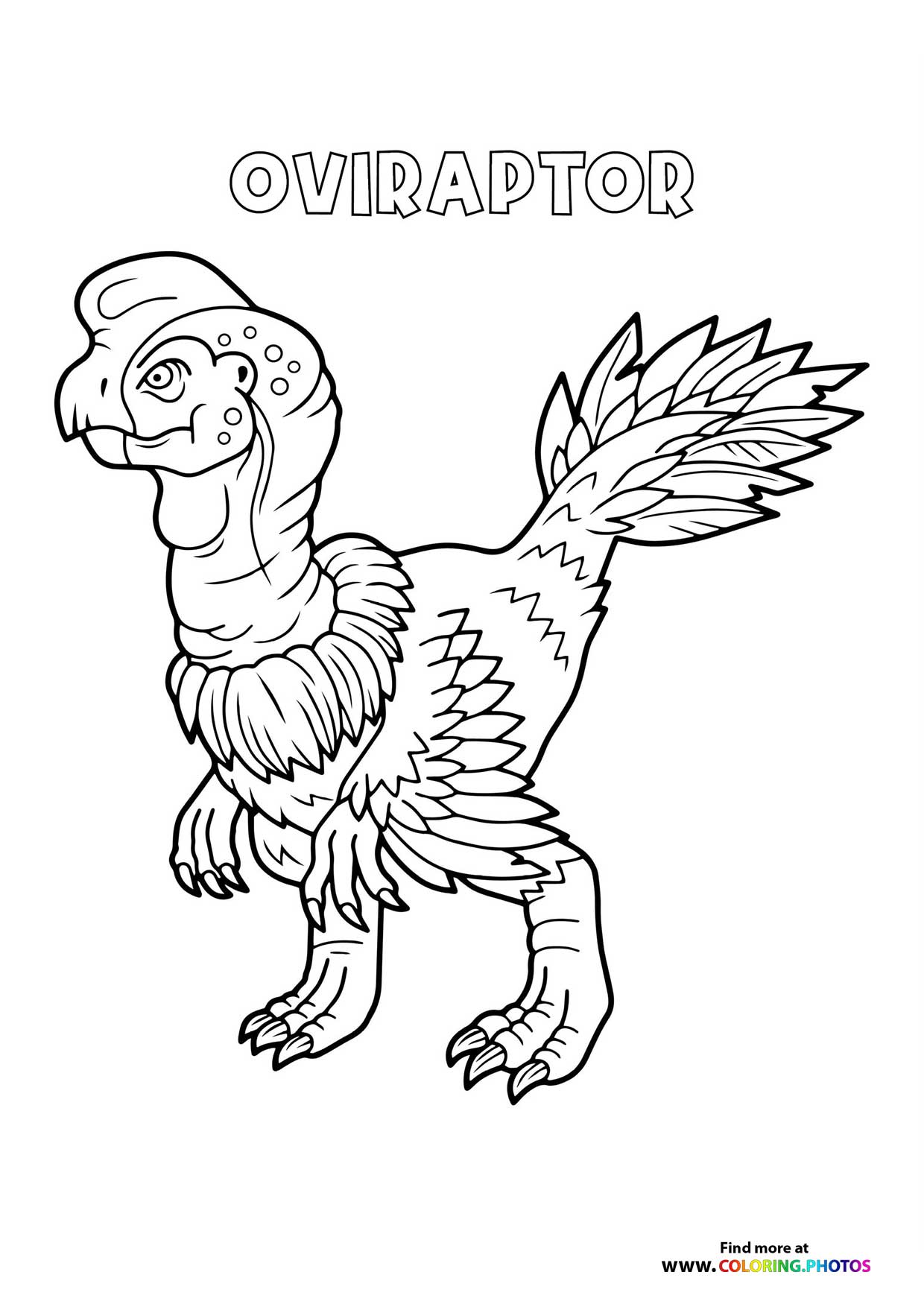 Oviraptor dinosaur