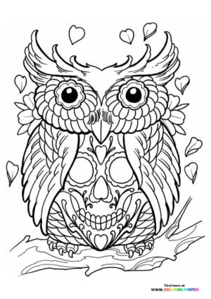Own on a skull