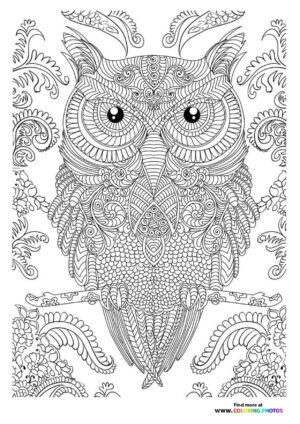 Owl coloring page for adults