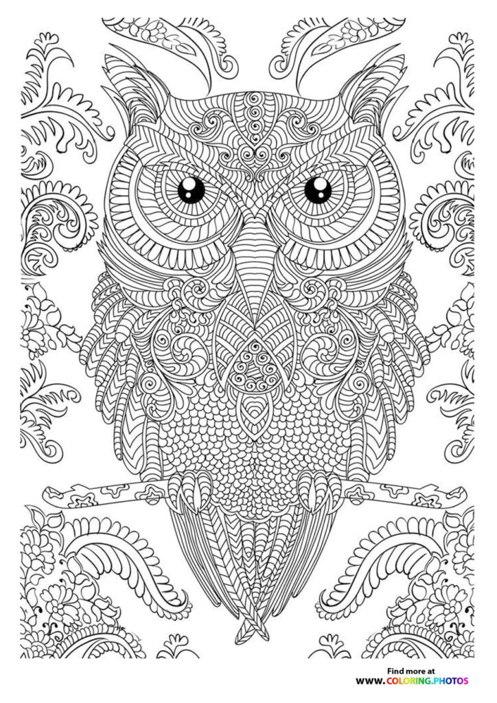 Owl coloring page for adults