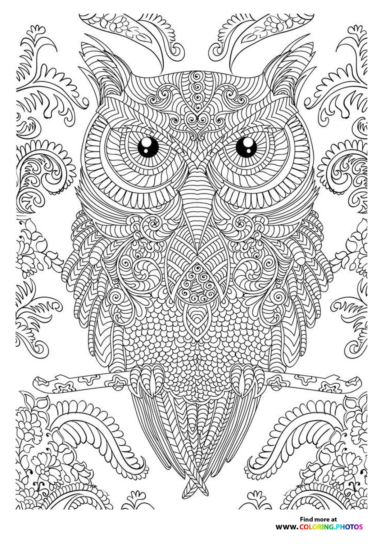 Owl coloring page for adults
