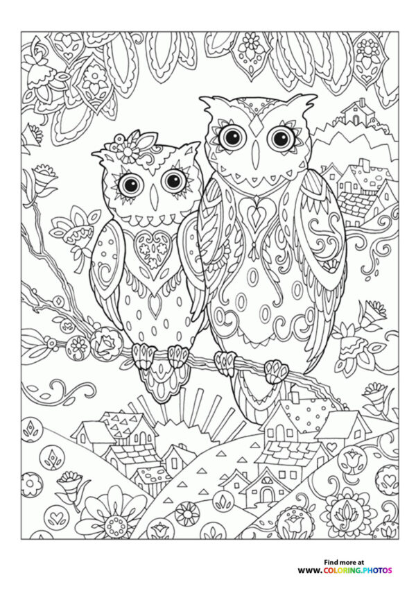 Owls coloring page for adults