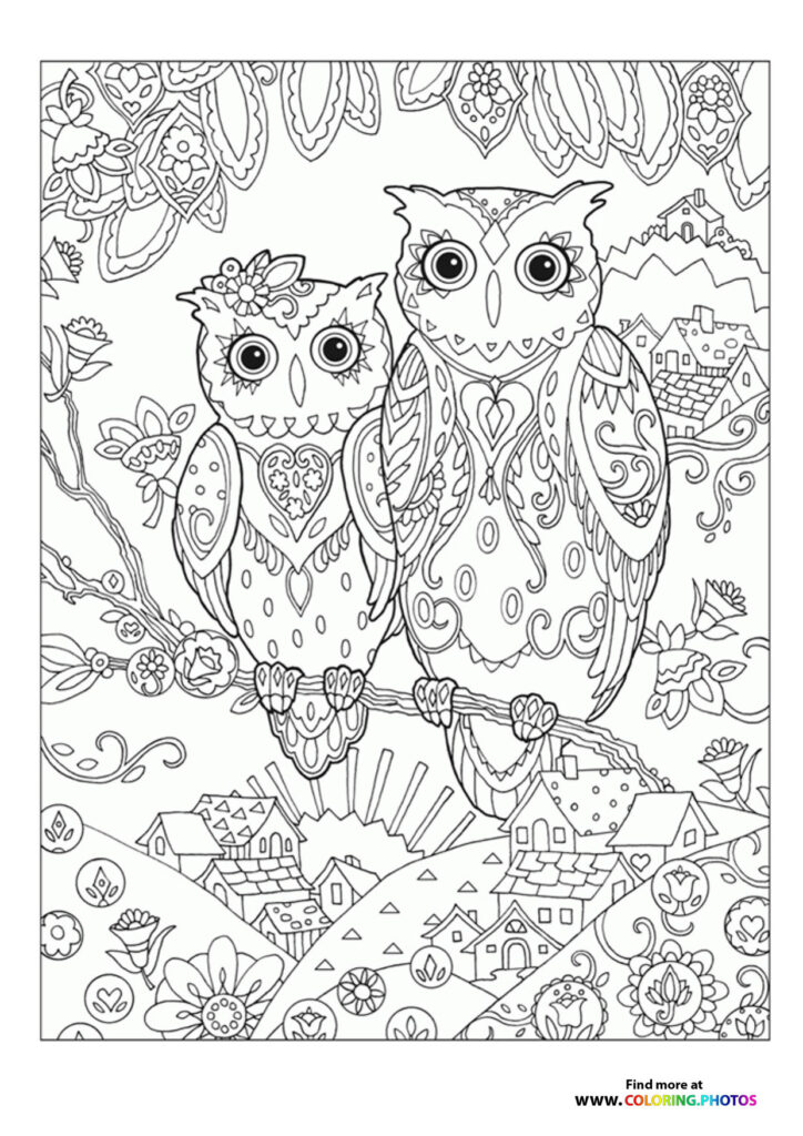Owls coloring page for adults