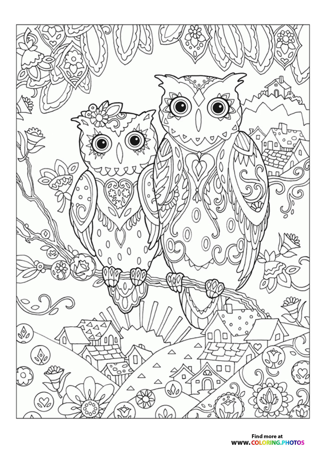 Owls coloring page for adults