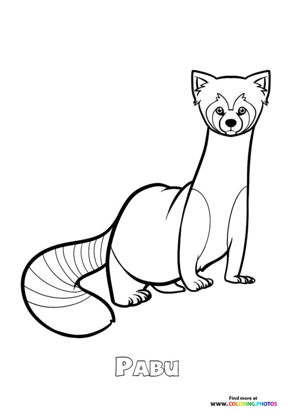 Pabu Legend Of Korra