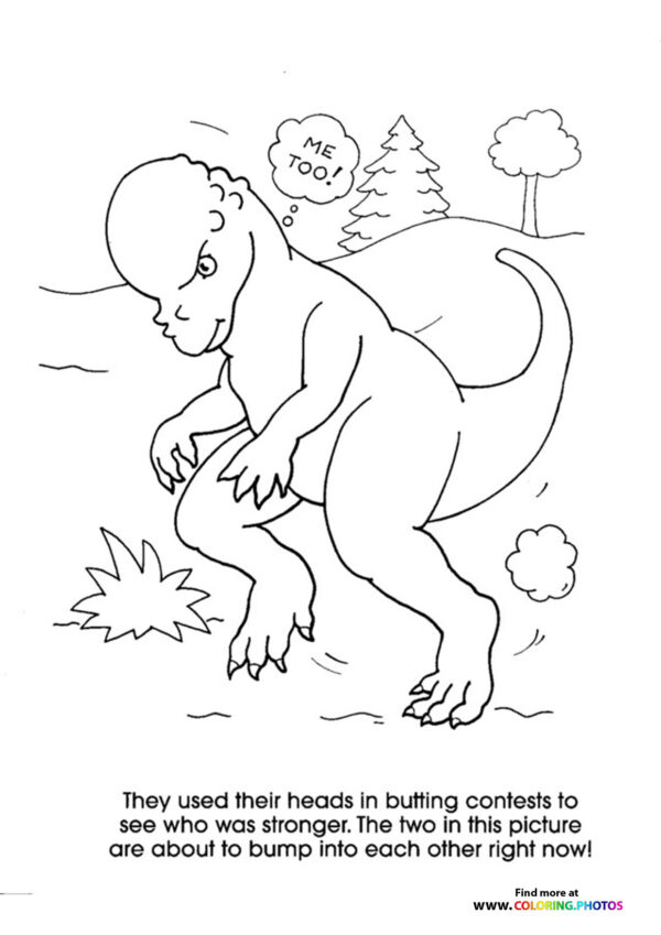 Pachycephalosaurus butting heards
