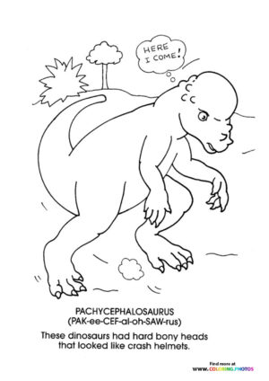 Pachycephalosaurus