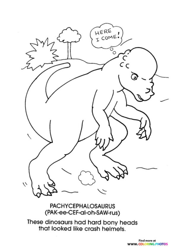Pachycephalosaurus