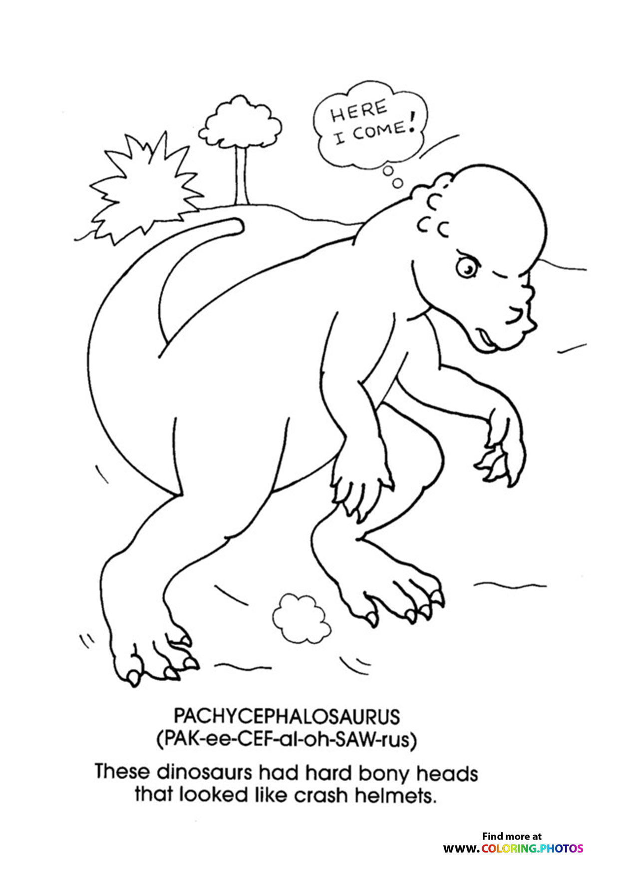 Pachycephalosaurus